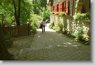 DSC_021 * 800 x 537 * (193KB)