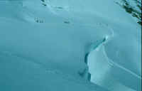 Scan11.jpg (36150 bytes)