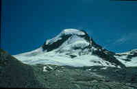 Scan2146.jpg (63482 bytes)