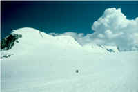 Scan2148.jpg (42326 bytes)