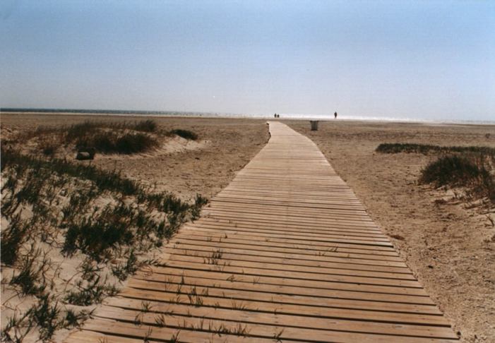 Dolga lesena pot do pla�e