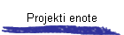 Projekti enote