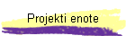 Projekti enote
