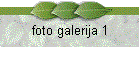 foto galerija 1