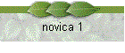 novica 1