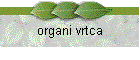 organi vrtca