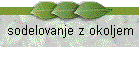 sodelovanje z okoljem