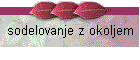 sodelovanje z okoljem
