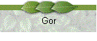 Gor