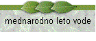 mednarodno leto vode