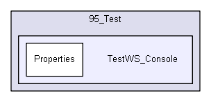 igtest/tmp_prem/prefa/95_Test/TestWS_Console