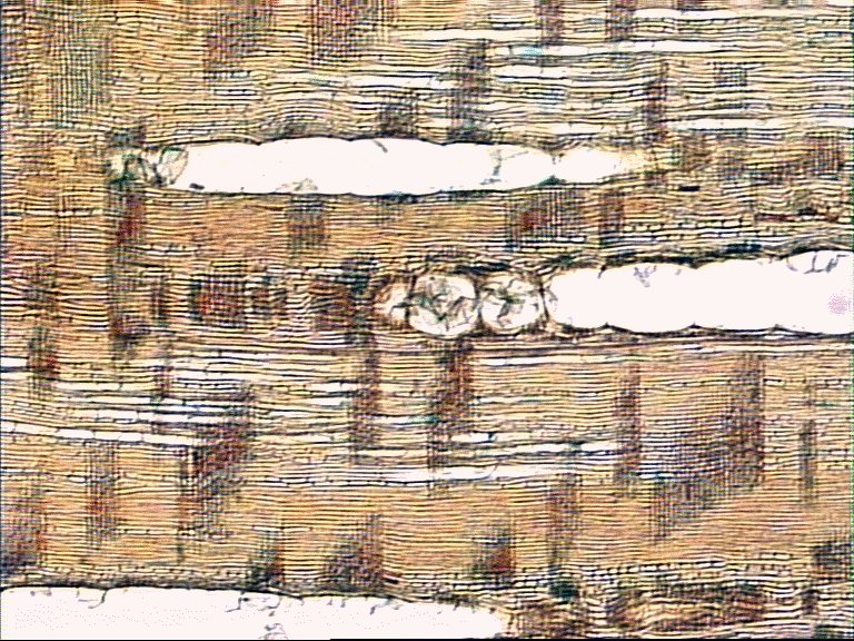 AbiesR.jpg (161799 bytes)