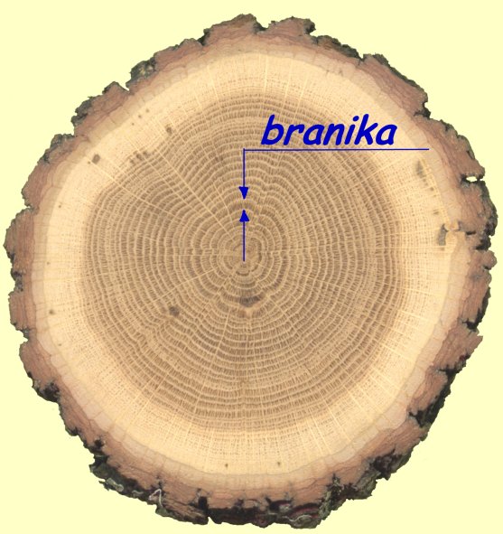 branike.jpg (70091 bytes)