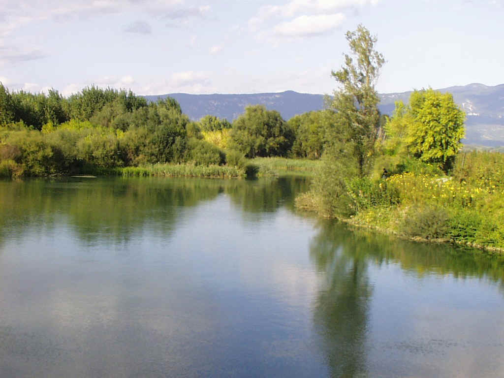 Vipava iz renkega mosta