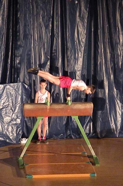 Gimnastika