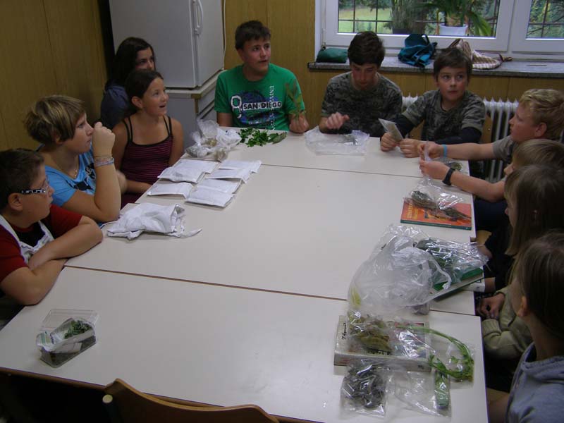 Narava_nam_ponuja(8)