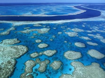 http://www.photography-match.com/views/images/gallery/Great_Barrier_Reef_Marine_Park_Queensland_Australia.jpg