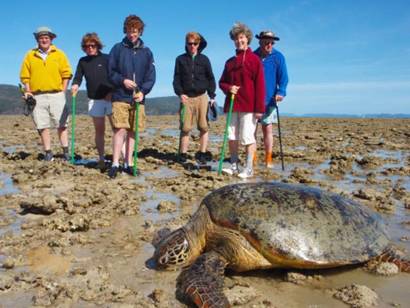 http://www.ekoventure.com/data/998/original/reef_walk___turtle_encounter.jpg