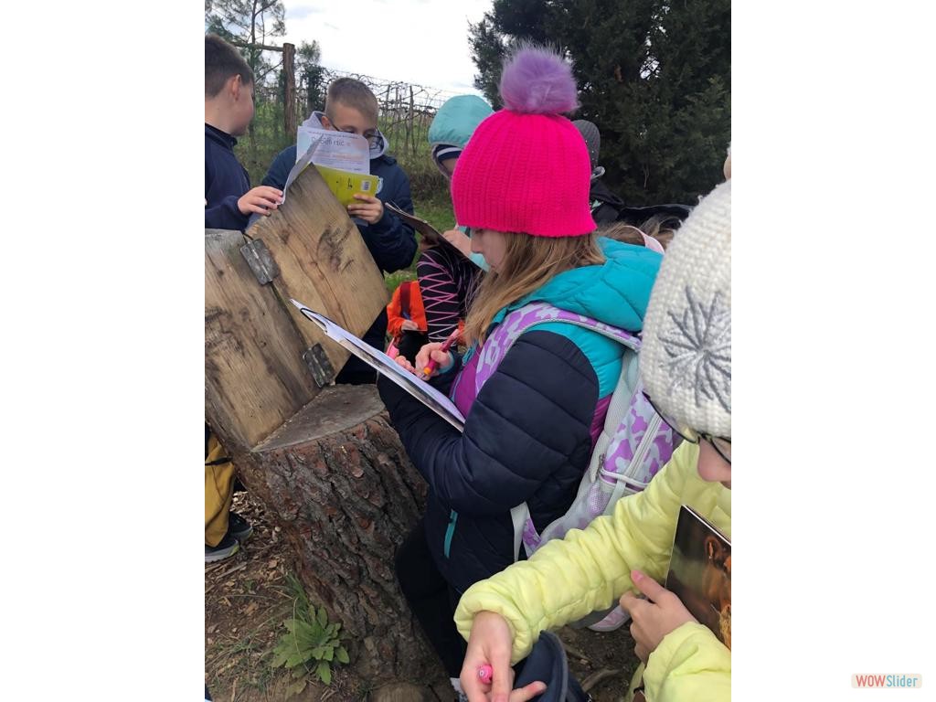 bootstrap image slider