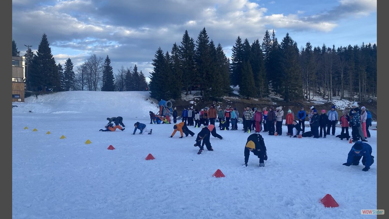 viber_image_2024-12-16_15-25-49-327