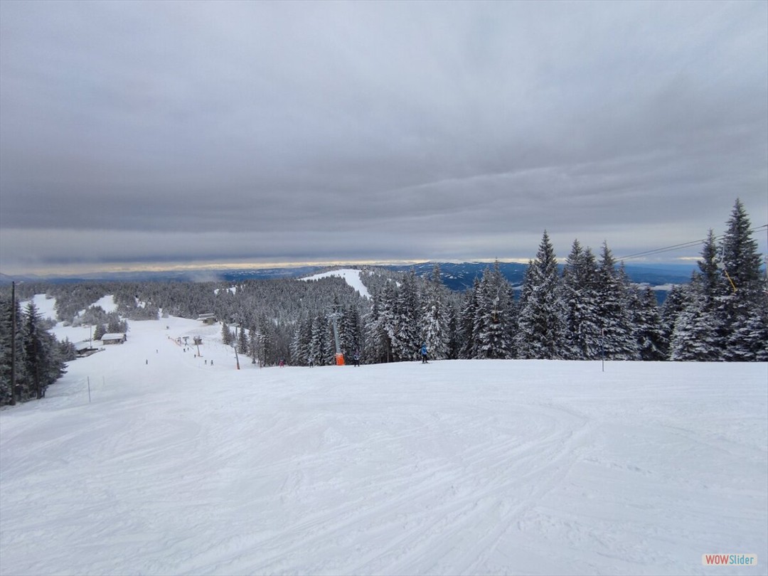 viber_image_2024-12-20_10-37-09-800