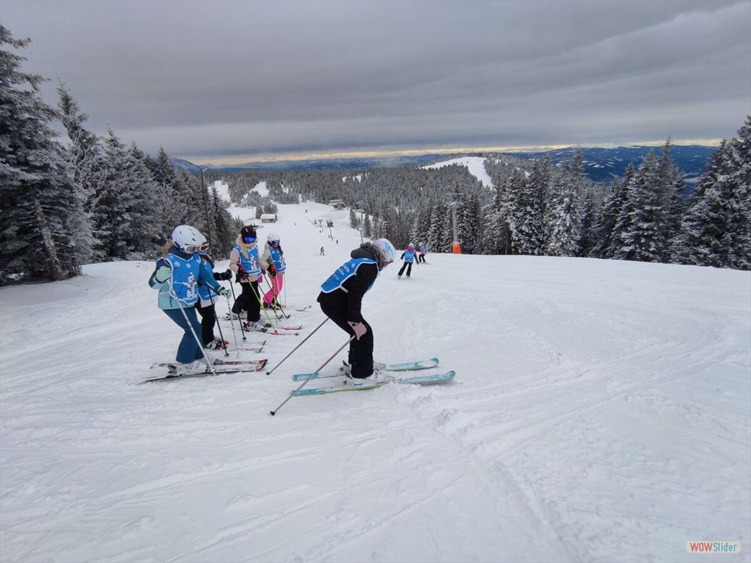 viber_image_2024-12-20_10-37-10-561