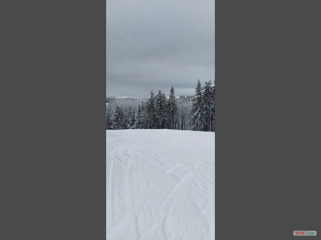 viber_image_2024-12-20_12-51-33-123