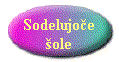 sodelujoe sole