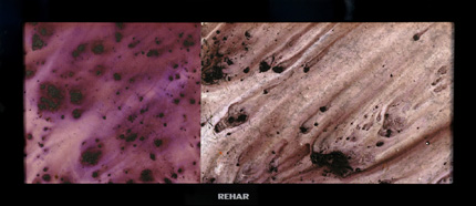 iga Rehar, SIP36,6, 2011, meana tehnika, diagonala 93 cm
