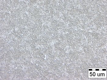 Microstructure of the AISI steel D2