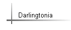 Darlingtonia