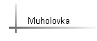 Muholovka