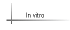 In vitro