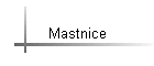 Mastnice