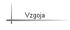 Vzgoja