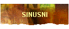 SINUSNI