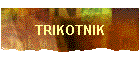 TRIKOTNIK