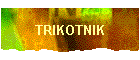 TRIKOTNIK