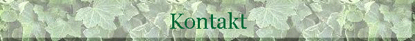 Kontakt