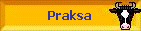 Praksa