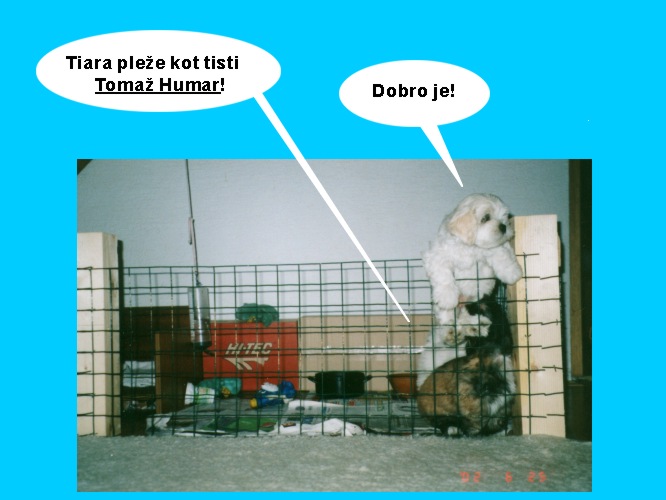 Pod�rtan tekst, saj je povezava!